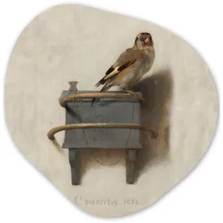 WANDBILD Stieglitz - Alter Meister - Carel Fabritius Wanddeko 40x40 cm