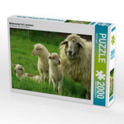 CALVENDO Puzzle Mutterschaf mit Lämmern 2000 Teile Puzzle quer | 2000 Teile Lege-Größe 90 × 67 cm Foto-Puzzle für glückliche Stunden