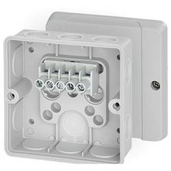 Hensel 62000268 Abzweigdose halogenfrei, plombierbar (L x B) 98 mm x 98 mm 1 St.