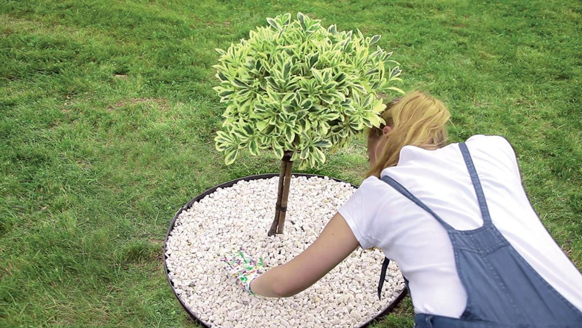 Prosperplast Gazonrand Garden Border 1045, 8 m, zwart, 28 grondpennen