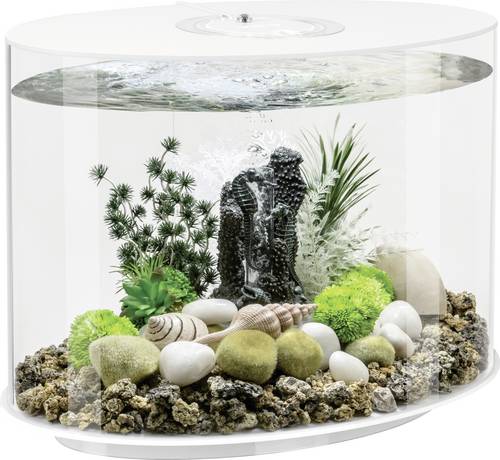 OASE biOrb 86415 biOrb LOOP 30 LED weiß Aquarium EEK: G (A - G) 30 l mit LED-Beleuchtung