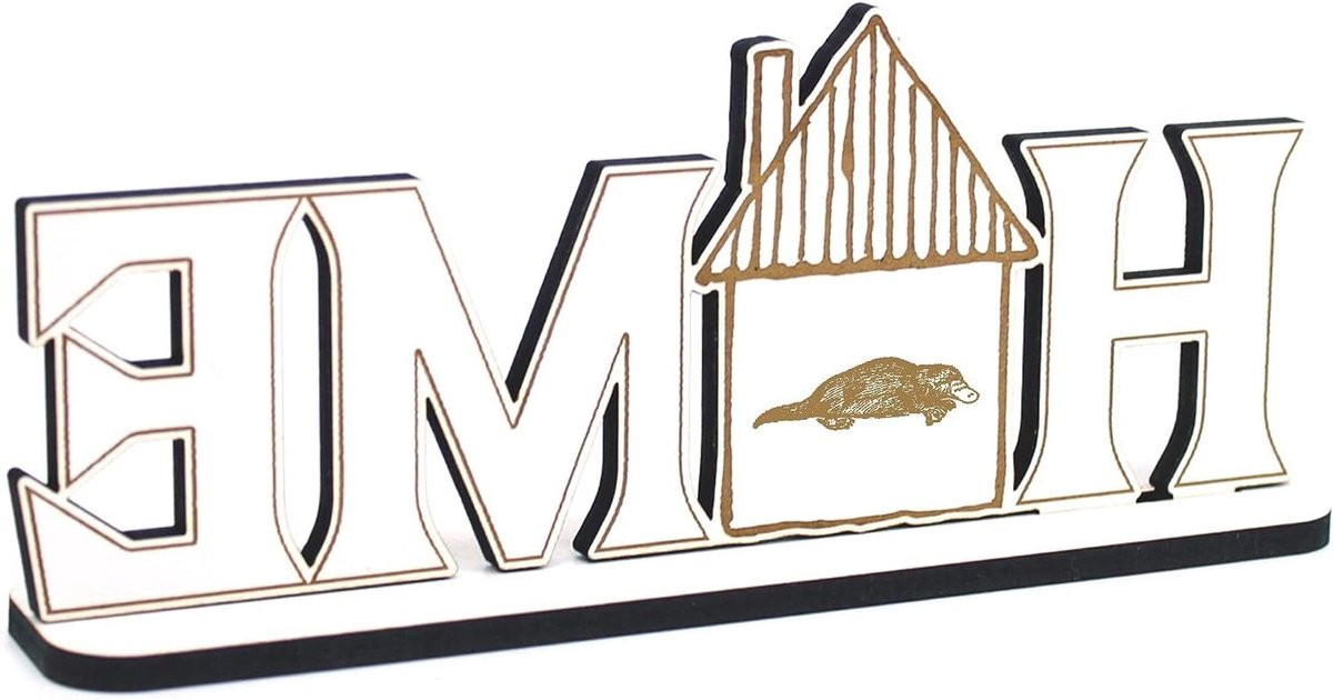 Houten Letter Decoratie Wit - Woord Kunst in Landelijke Stijl - 28 x 12 cm