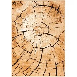 Pergamon, Teppich, Modern Designer Velours Teppich Samba (160 x 230 cm)