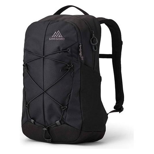 Gregory Laptoprucksack Terros 20 - black lichen (20 l) (160165-A653)