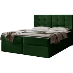 BOXBETT Luanda - H3