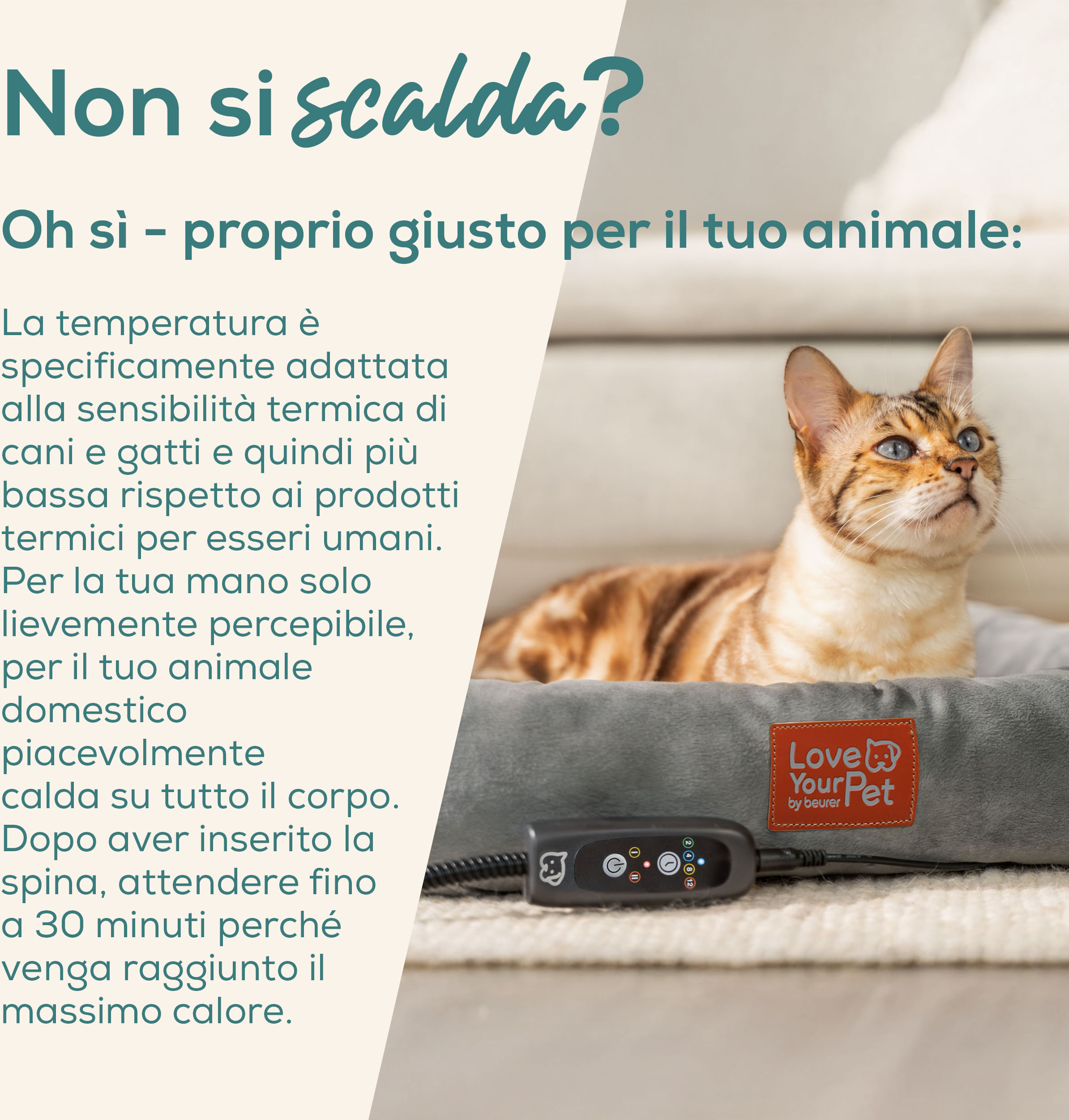 Cuccia Riscaldante per Cani e Gatti Grigio Beurer KIRA
