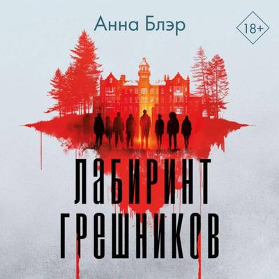 Labirint greshnikov - Anna Bler, Audio, 9785042056277