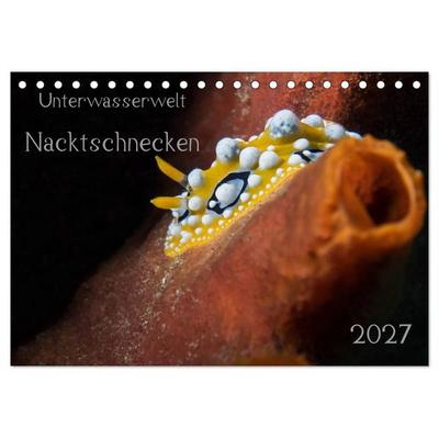 Unterwasserwelt Nacktschnecken (Tischkalender 2027 DIN A5 quer), CALVENDO Monatskalender