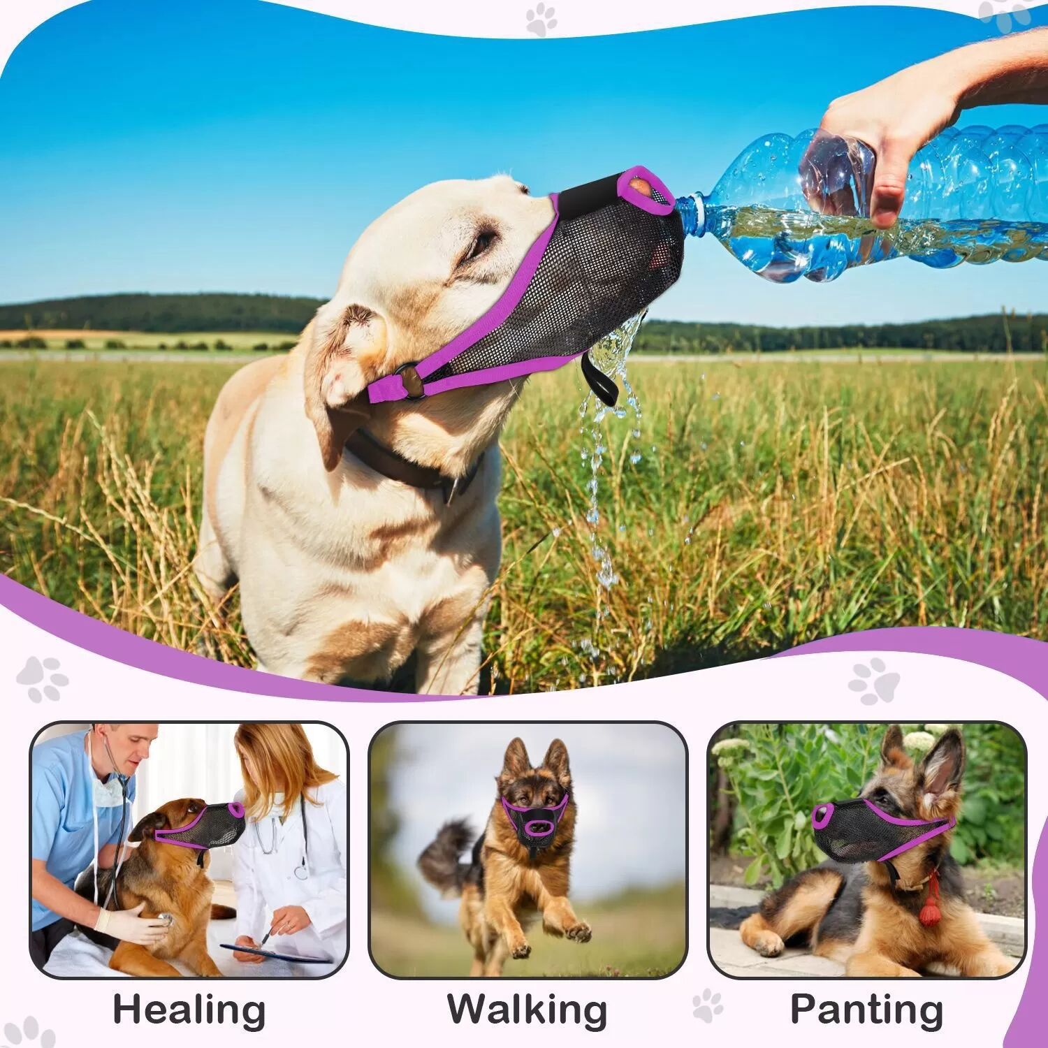 INF Atmungsaktiver Mesh-Hundemaulkorb - Anti-Beiß-, Anti-Bell-, Anti-Leck-Maulkorb für Haustiere, Lila M