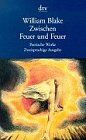 William Blake - Zwischen Feuer und Erde - Preis vom 07.10.2026 11:45:10 h