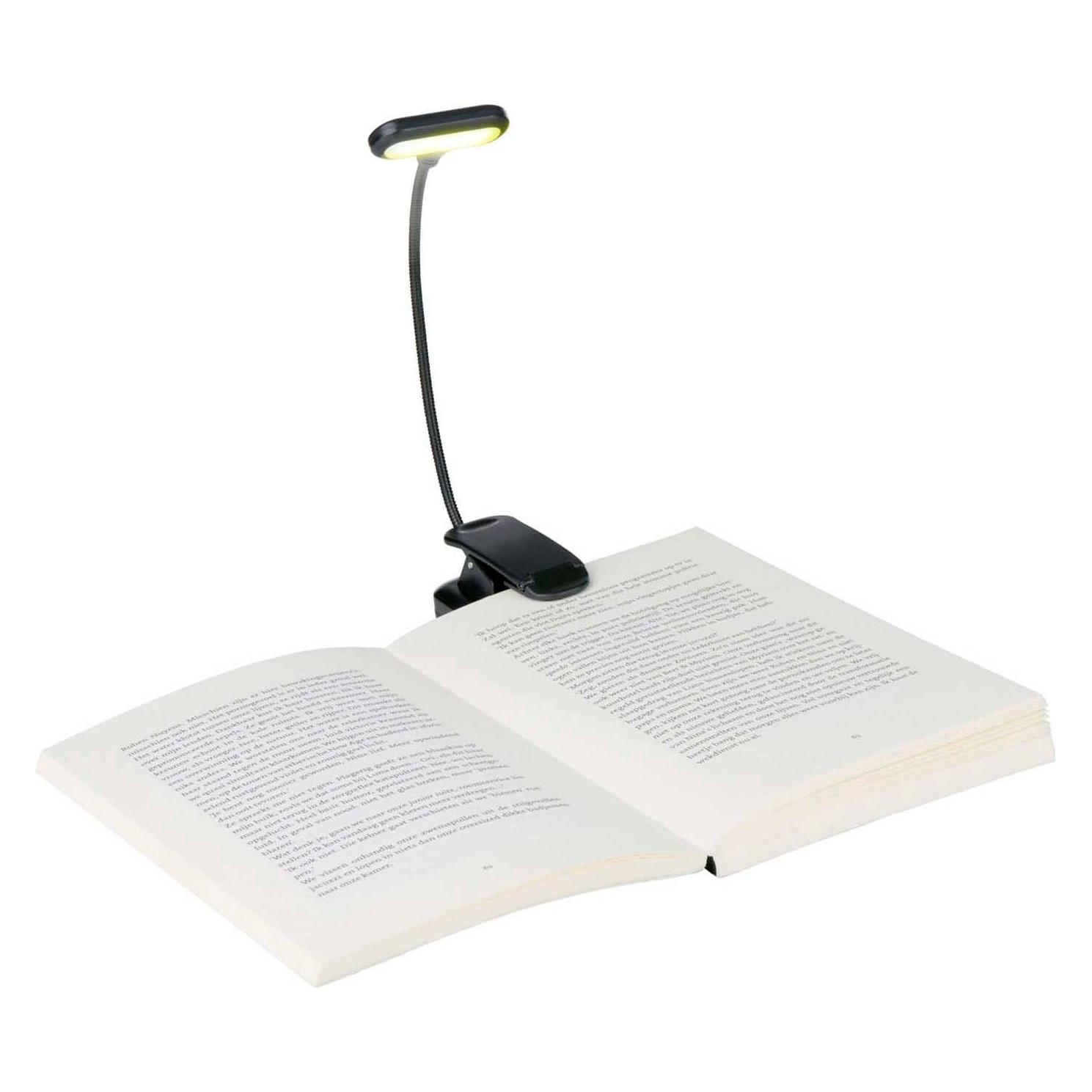 Grundig Buchlicht Clip Warmweiss USB-C 400mAH (28 cm) (49598241)