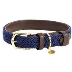 Kentucky Dogwear Hundehalsband Nylon geflochten (M, Hund, Spazieren), Halsband + Leine