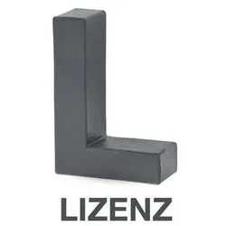 Microsoft MS Liz Project Pro für Windows