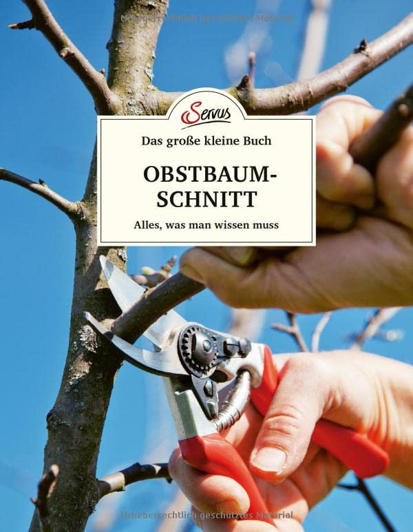 Erwin Palnstorfer - Das große kleine Buch: Obstbaumschnitt: Alles, was man wissen muss - Preis vom 16.10.2026 11:41:07 h