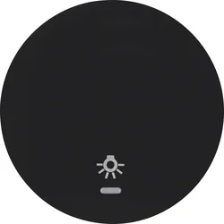 Hager WLW1332BG Wippe mit klarer Linse und Aufdruck Symbol Licht R.Classic schwarz, glänzend