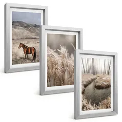 BILDER SET 3er Set - 20x30 cm Silberner Rahmen - Pferde, Landschaft, Gras, Bach