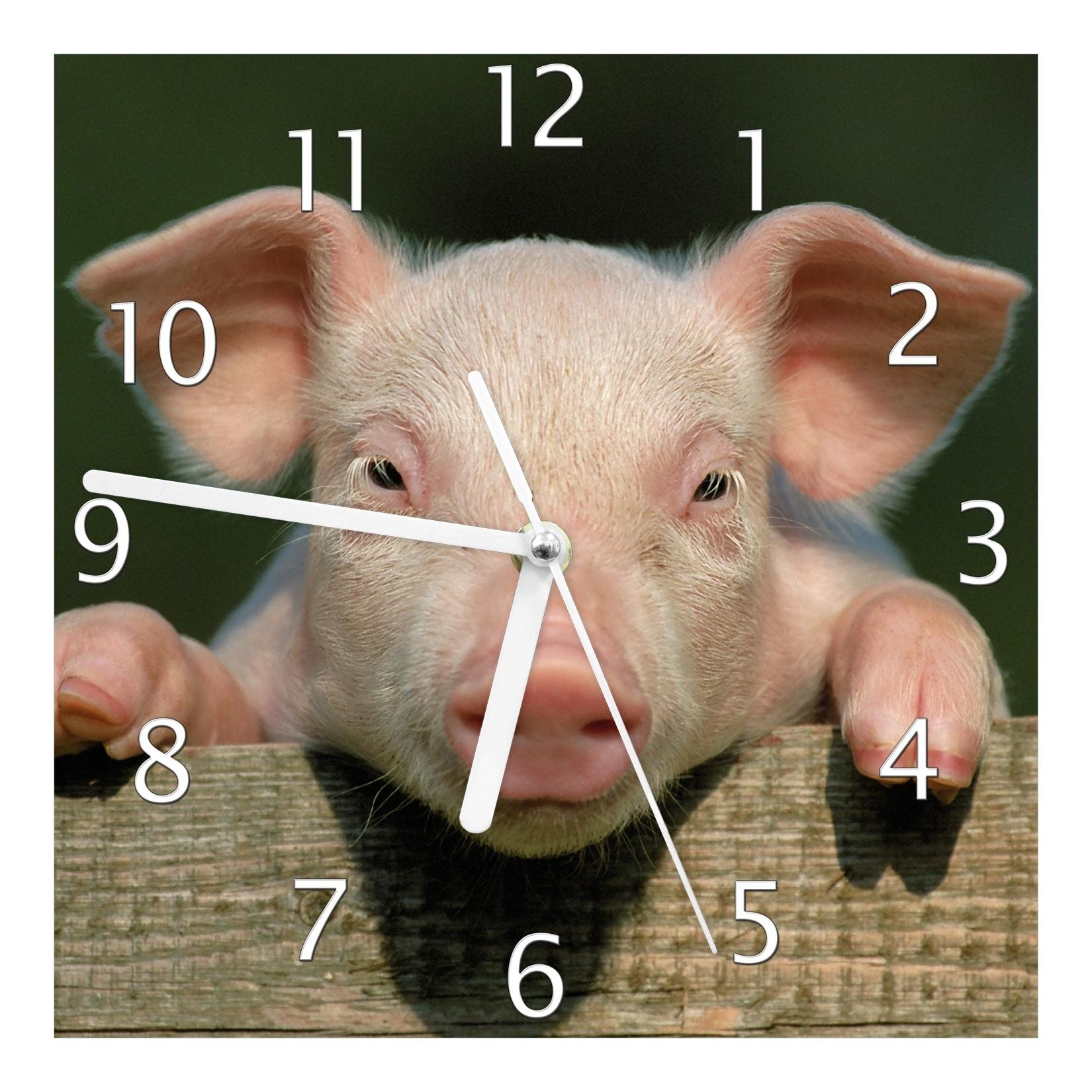 Wallario Uhr 30 x 30 cm, weiße Zeiger Süßes Ferkel auf dem Bauernhof in Nahaufnahme