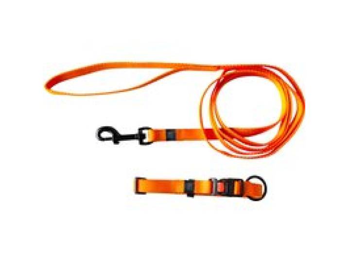KARLIE Collier avec laisse (orange)