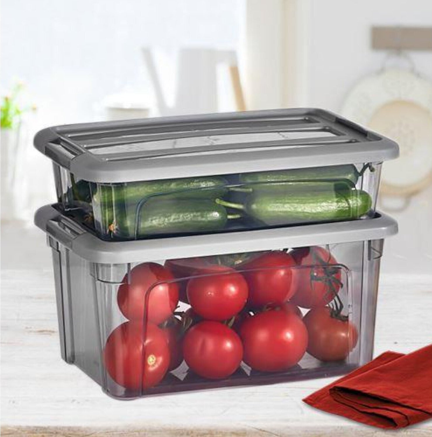 Vip Ahmet Voorraadcontainer Organizer Grijs-transparant 2,8 liter