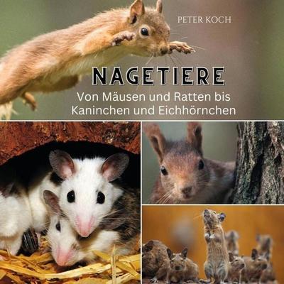 Nagetiere, Taschenbuch von Peter Koch, 27amigos, 978-3-7505-6380-3