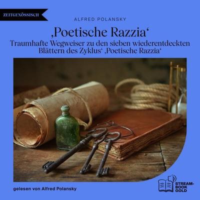 'Poetische Razzia' - Alfred Polansky, Audio, 9783711952530