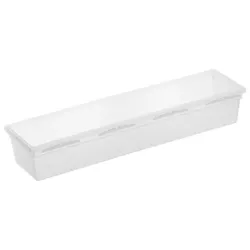 Rotho Aufbewahrungsbox Basic 8 x 30 cm Kunststoff Transparent M (Medium)