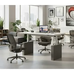 Ergonomischer Schreibtisch höhenverstellbar LaP2