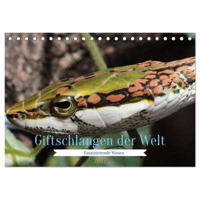 Giftschlangen der Welt (Tischkalender 2027 DIN A5 quer), CALVENDO Monatskalender