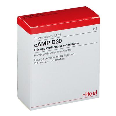 Camp D 30 Ampullen 10 St