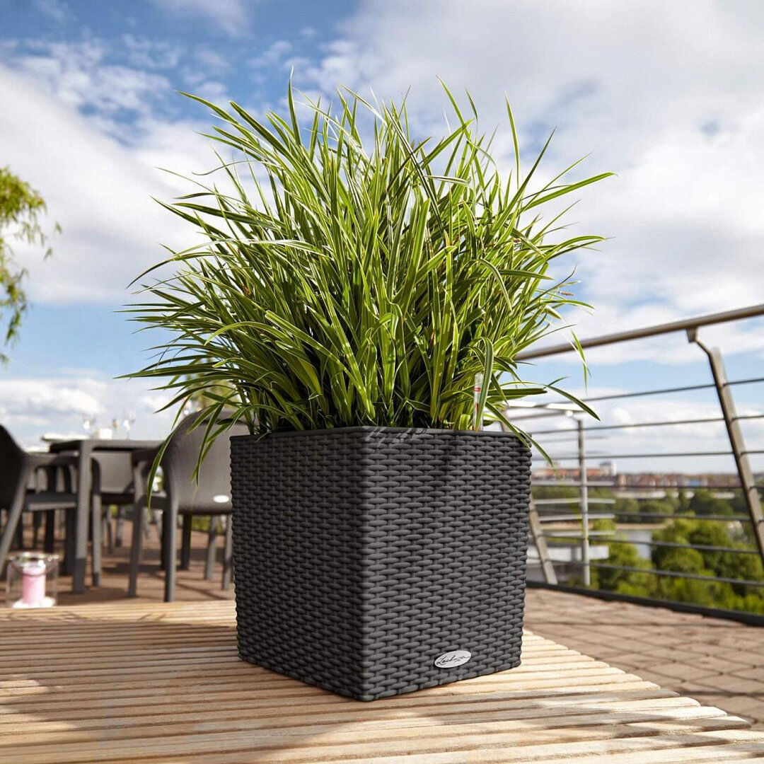 Ebern Designs Moneak Self-Watering Plastic Planter Box Black 30cm H x 30cm W x 30cm D