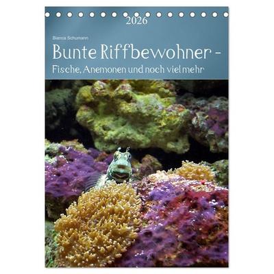 Bunte Riffbewohner - Fische, Anemonen und noch viel mehr (Tischkalender 2026 DIN A5 hoch), CALVENDO Monatskalender