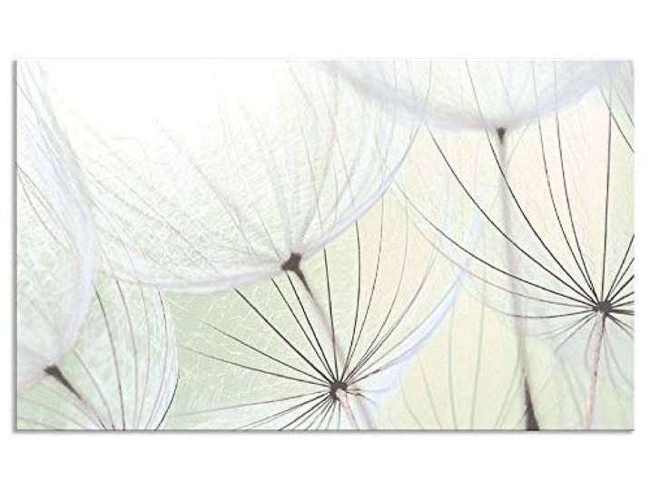 ARTland Spritzschutz Küchenrückwand aus Alu für Küche Herd Spüle 100x60 cm (BxH) mit Motiv Blume Pusteblume Landschaft Natur Zen Modern Hell Grün S9MV