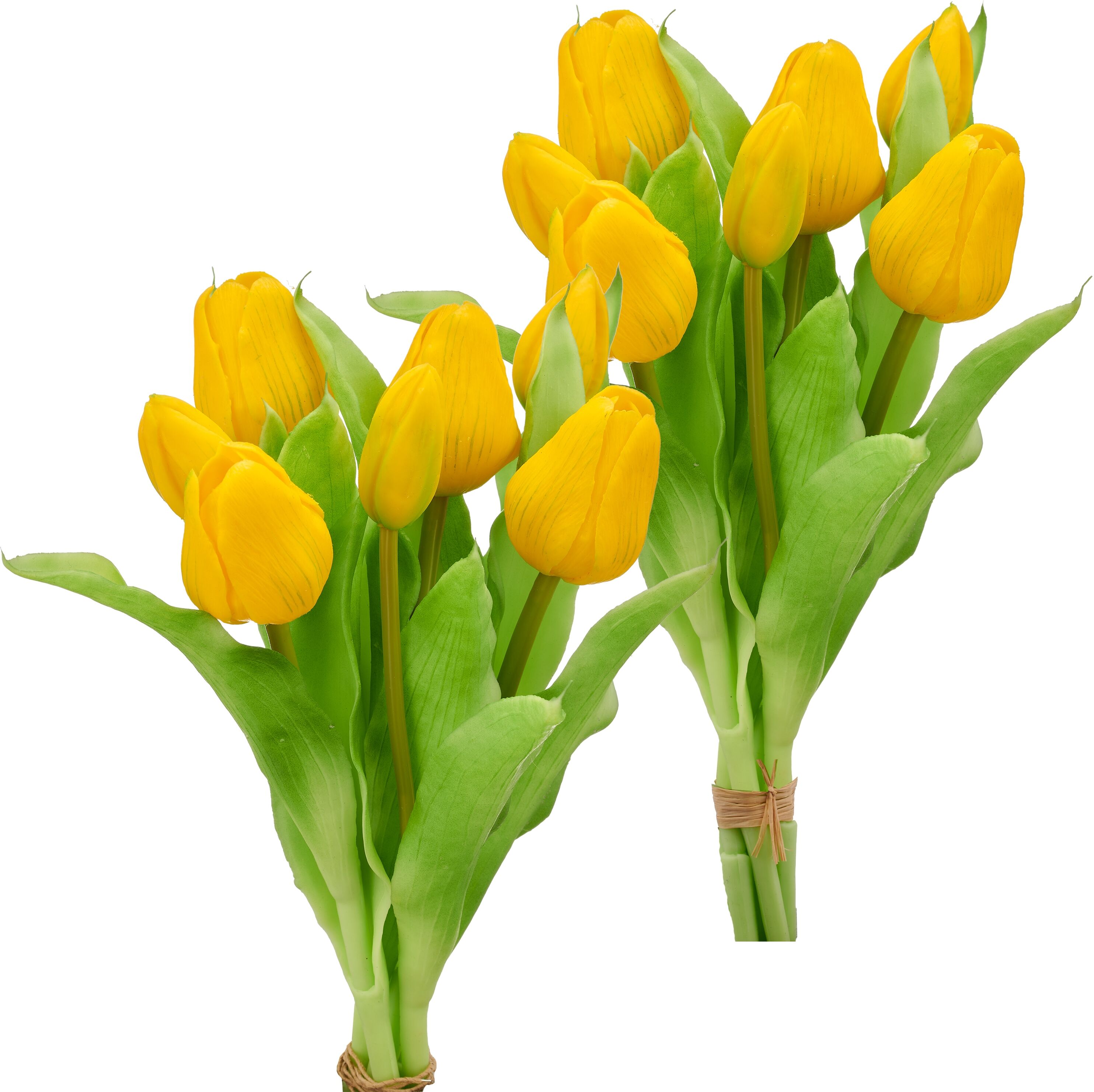 Creativ green "Tulpenbund" in schöner Farbe