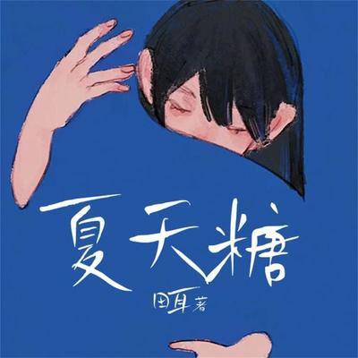 夏天糖 - 田耳, Audio, 4099995973778