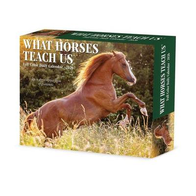 What Horses Teach Us 2026 Box Calendar