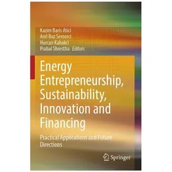 Energy Entrepreneurship, Sustainability, Innovation and Financing, Fachbücher von Anil/Kabakci et al, Hurcan, Boz Semerci
