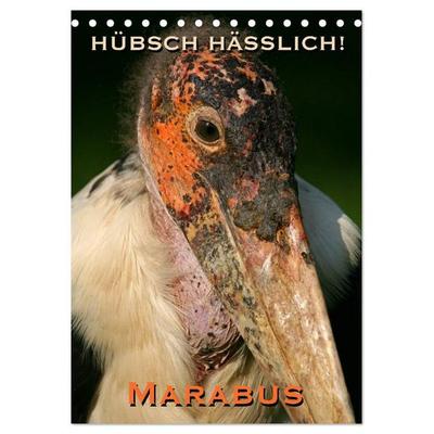 Hübsch hässlich! Marabus (Tischkalender 2026 DIN A5 hoch), CALVENDO Monatskalender