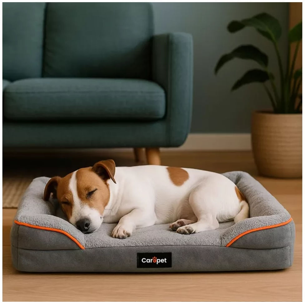 Carepet Cuccia Cane Smart M