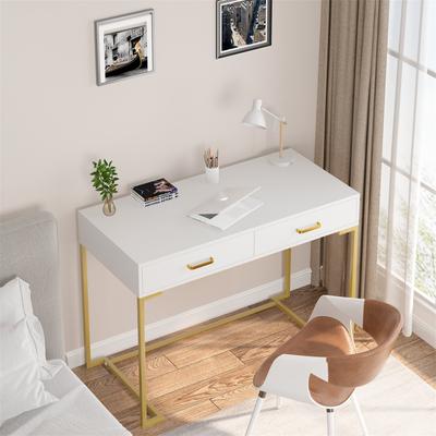 1Easylife Computer Desk with 2 Drawers, Modern Study Writing Table with Storage for Home Office