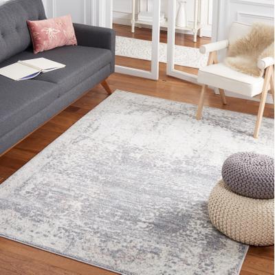 SAFAVIEH Amsterdam Sandina Modern Distressed Rug