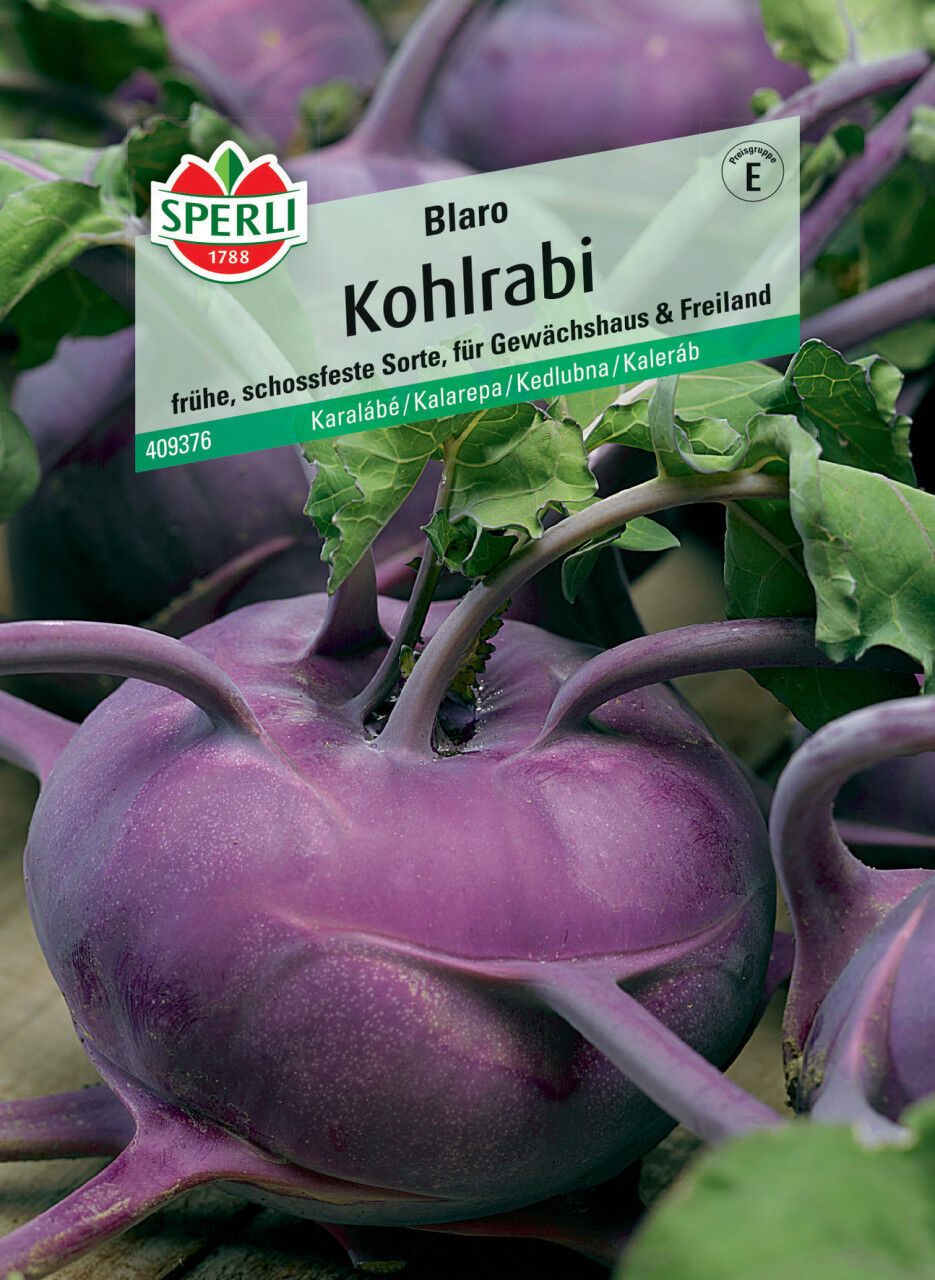 Sperli Kohlrabi Blaro