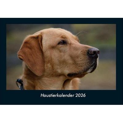Haustierkalender 2026 Fotokalender DIN A4