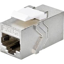 Renkforce RJ45 Netzwerk Adapter CAT 6a [1x RJ45-Buchse - 1x RJ45-Buchse] RF-4531598