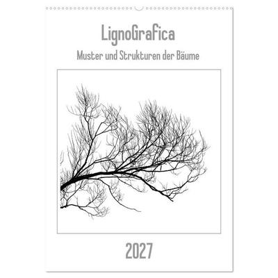 LignoGrafica - Muster und Strukturen der Bäume (Wandkalender 2027 DIN A2 hoch), CALVENDO Monatskalender