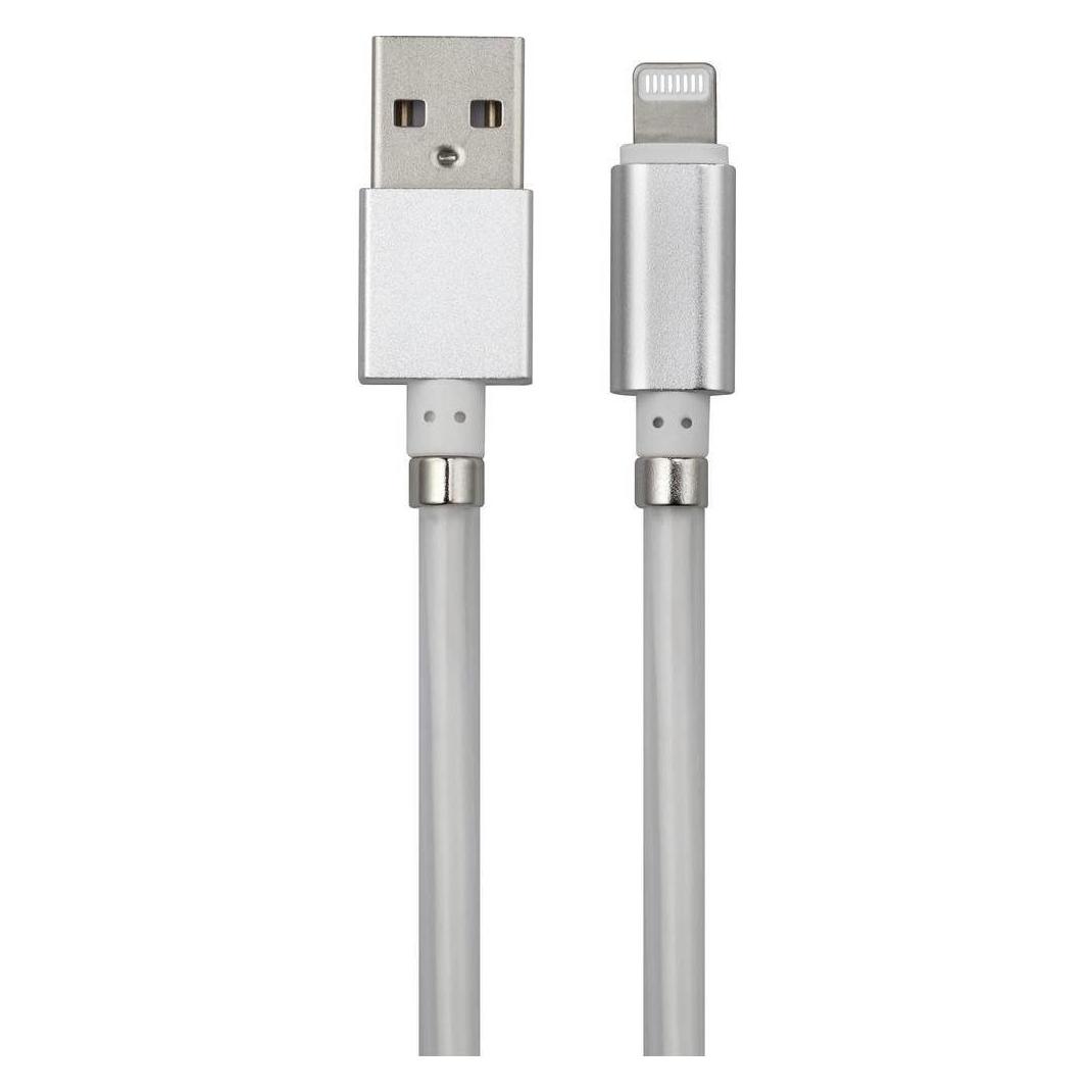 Renkforce USB 2 Anschlusskabel (1 m, USB 2.0, 12 W) (TO-6897012)
