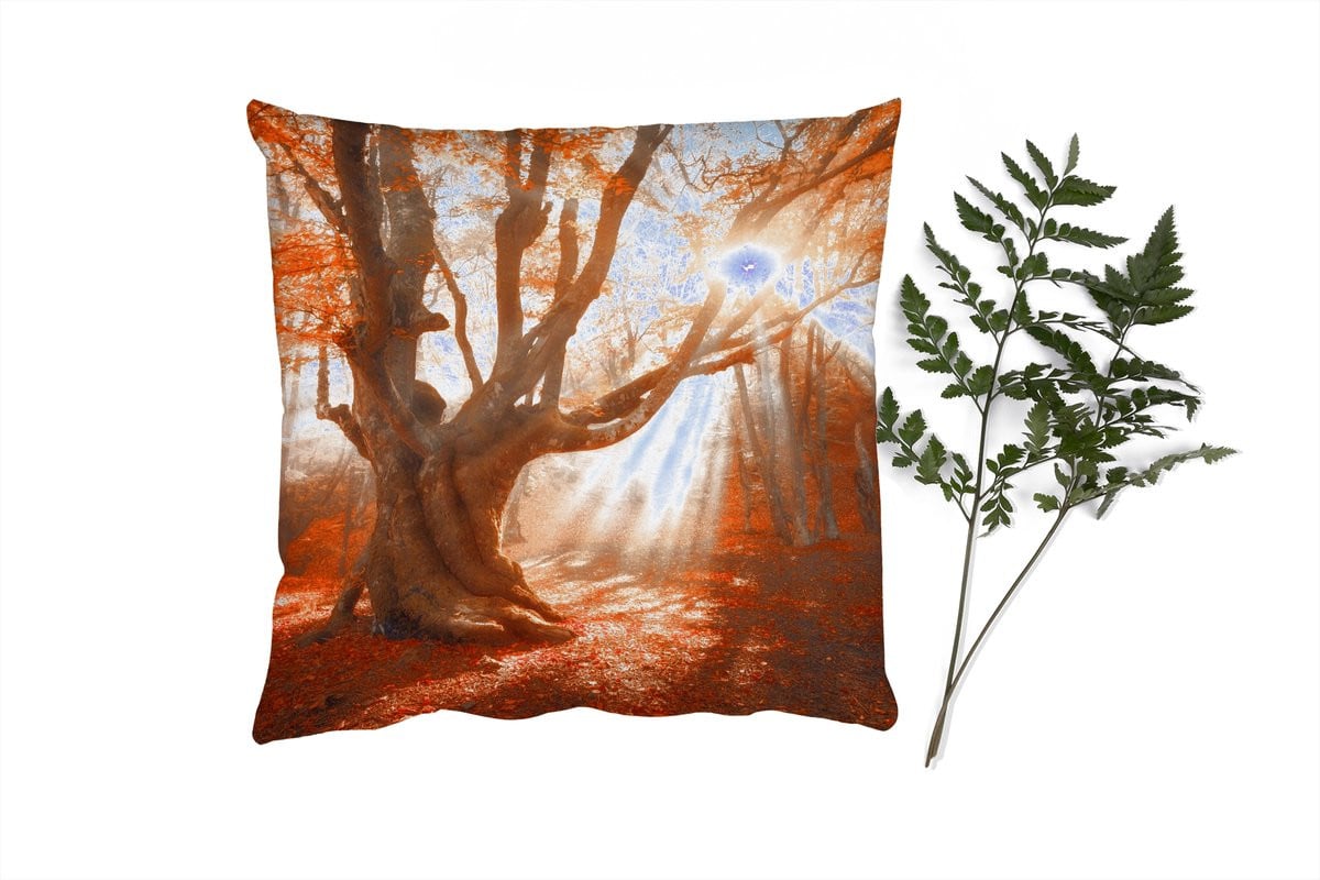 PillowMonkey Sierkussen Boom Natuur Herfst 45 x 45 cm