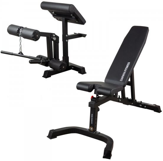 Darwin Fitness Darwin Hantelbank FB90