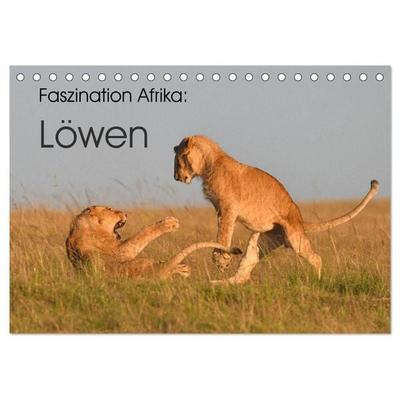 Faszination Afrika: Löwen (Tischkalender 2027 DIN A5 quer), CALVENDO Monatskalender