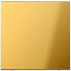 Jung Steuertaste Standard GO 1700