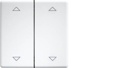 Eltako DW-FT55-rw+2P Doppel-Schalterwippe